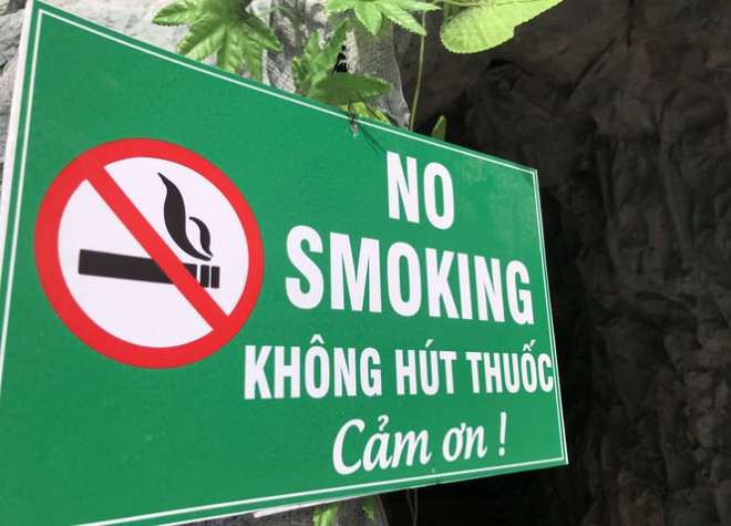 Lung linh hang đá Noel khổng lồ ở Nghệ An cao hơn tòa nhà 3 tầng - 13