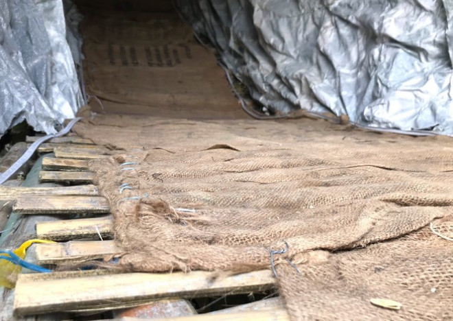 Lung linh hang đá Noel khổng lồ ở Nghệ An cao hơn tòa nhà 3 tầng - 11