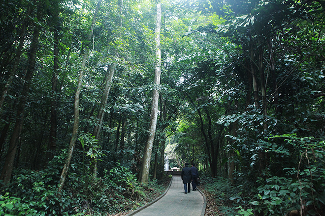 Đền thờ công chúa ngoại quốc duy nhất ở Việt Nam - 2