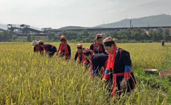 Bí ẩn “làng mỹ nhân” dưới non thiêng Yên Tử - 2