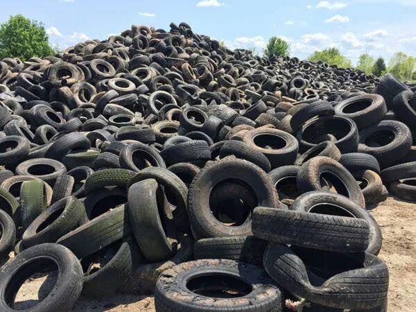 Tưởng là rác lại hóa mỏ vàng, 8x thu về hàng chục triệu/tháng từ thứ bỏ đi - 1