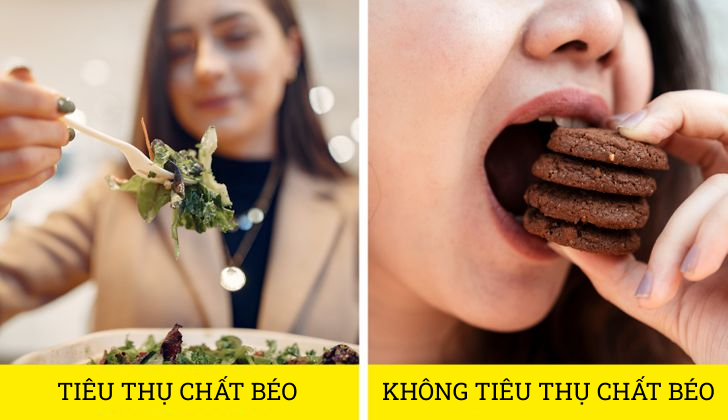 Những tác hại nguy hiểm của việc ngừng ăn hoàn toàn chất béo - 1