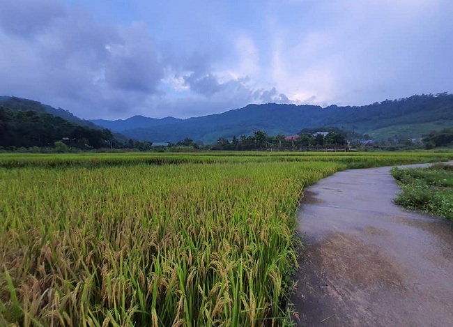 Hà Nội sau giãn cách: Villa, resort ven đô “cháy” phòng - 4