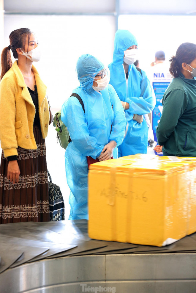 Thoát "cách ly tập trung", hành khách hân hoan khi xuống sân bay Nội Bài về thẳng nhà - 4