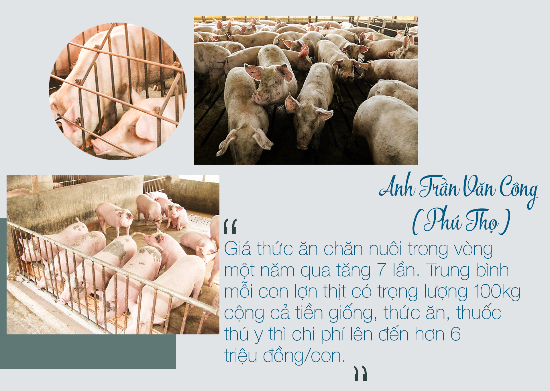 Nhà lầu, sổ đỏ, ô tô "đội nón" ra đi sau một lứa lợn, anh nông dân khóc ròng - 10
