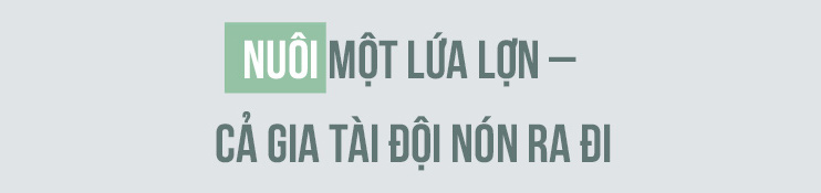 Nhà lầu, sổ đỏ, ô tô "đội nón" ra đi sau một lứa lợn, anh nông dân khóc ròng - 2