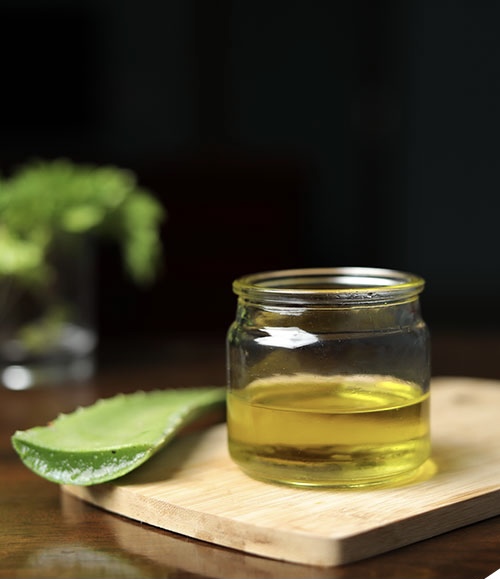 Dầu nha đam hoàn toàn có thể làm tại nhà dưỡng da mượt, tóc mềm - 2