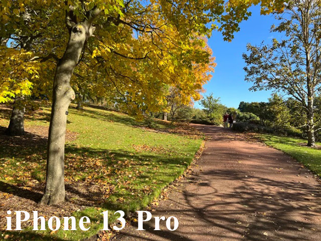 Camera Pixel 6 Pro chụp ảnh xuất sắc như iPhone 13 Pro - 2