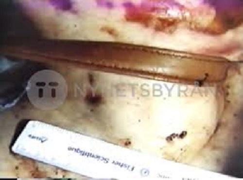 Người phụ nữ chết lõa thể trong sân trường: Manh mối từ hiện trường - 1