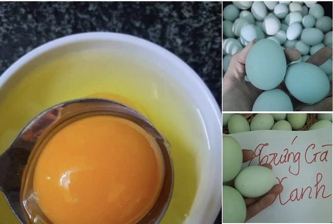 Xuất hiện trứng gà màu lạ, được ví như “nhân sâm”, giá cao gấp 3 lần trứng thường - 1
