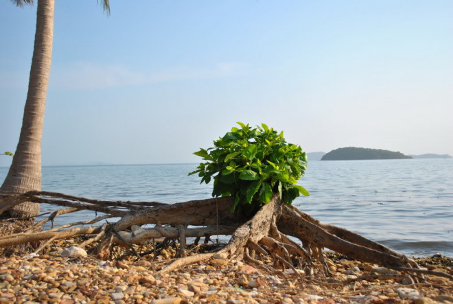 Quần đảo Bà Lụa - "Tiểu Hạ Long" của phương Nam - 3