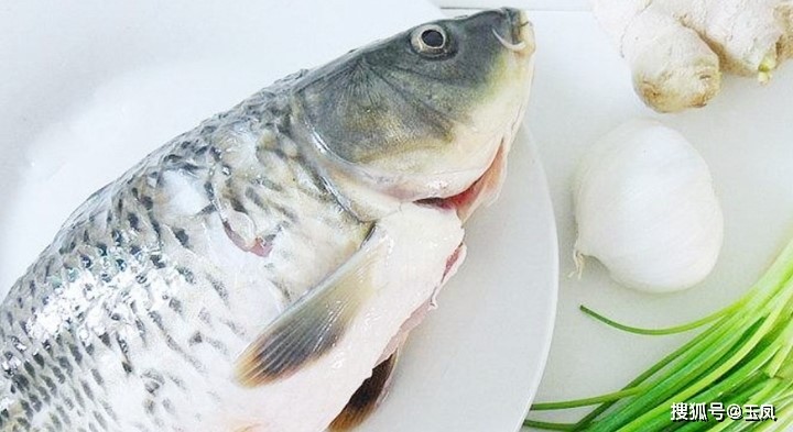 4 bộ phận là nguồn gốc của mùi tanh trên con cá, nhất định phải làm thật sạch - 3