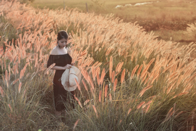 Cánh đồng cỏ lau ở Hà Nội đã vào mùa khoe sắc - 7