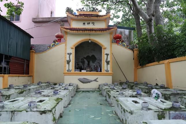 Vào nơi yên nghỉ của 100 'ngài' cá Ông - 2