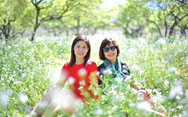 Đẹp nao lòng những thiên đường hoa Tây Bắc - 7