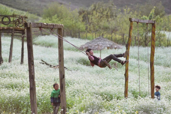 Đẹp nao lòng những thiên đường hoa Tây Bắc - 6