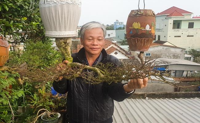 Đến nay, khu vườn của ông Lê Thạnh đã có đến hơn 100 tác phẩm bonsai đa dạng. Nhiều người trả ông cả chục, trăm triệu một cây, nhưng vị nghệ nhân này vẫn quyết không bán.
