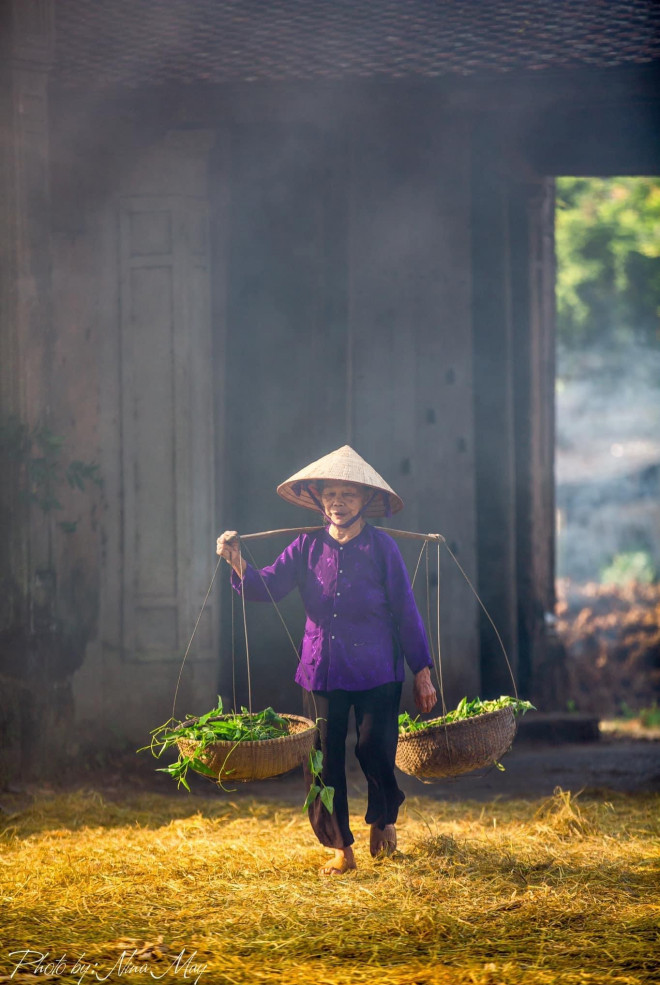 Làng cổ Đường Lâm - đẹp đến mức chỉ muốn bỏ phố về quê - 10