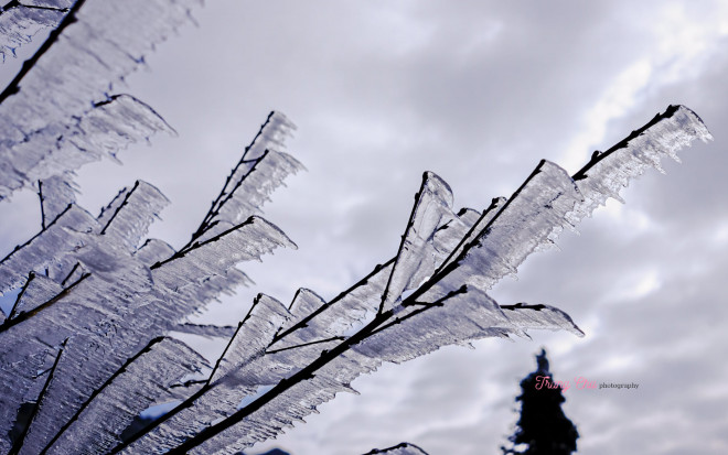 Y Tý mùa tuyết trắng đẹp như trời Âu, chỉ cần khoảng 1 triệu đã có chuyến đi ý nghĩa - 11