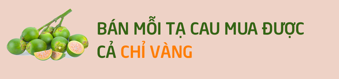 Trồng cau "hái vàng": Nông dân hứng khởi trong cơn "say tiền" - 2