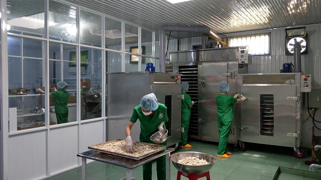 Vay 60 triệu để khởi nghiệp, 9x thu về 1,5 tỷ đồng sau 3 năm - 4