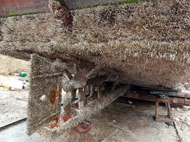 Hàng trăm tàu du lịch nằm đắp chiếu, nhiều chủ tàu phải vay vốn từ tín dụng đen - 2