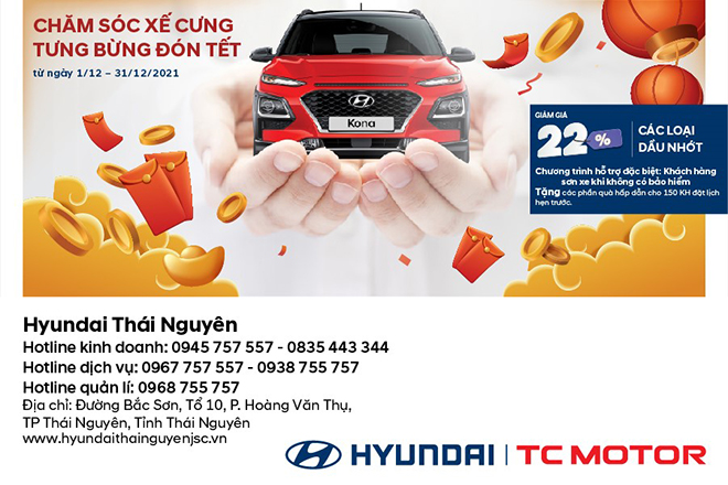 Hyundai Thái Nguyên tổ chức chương trình “Chăm sóc xế cưng - Tưng bừng đón Tết” - 1
