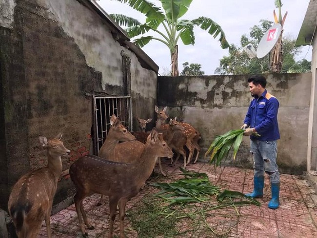 9x Hà Tĩnh bỏ việc nghìn đô về quê khởi nghiệp, thu về nửa tỷ đồng mỗi tháng - 4