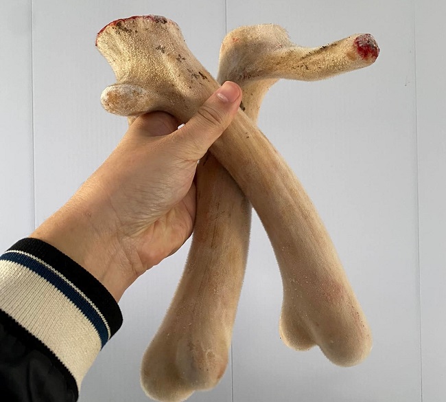 9x Hà Tĩnh bỏ việc nghìn đô về quê khởi nghiệp, thu về nửa tỷ đồng mỗi tháng - 3