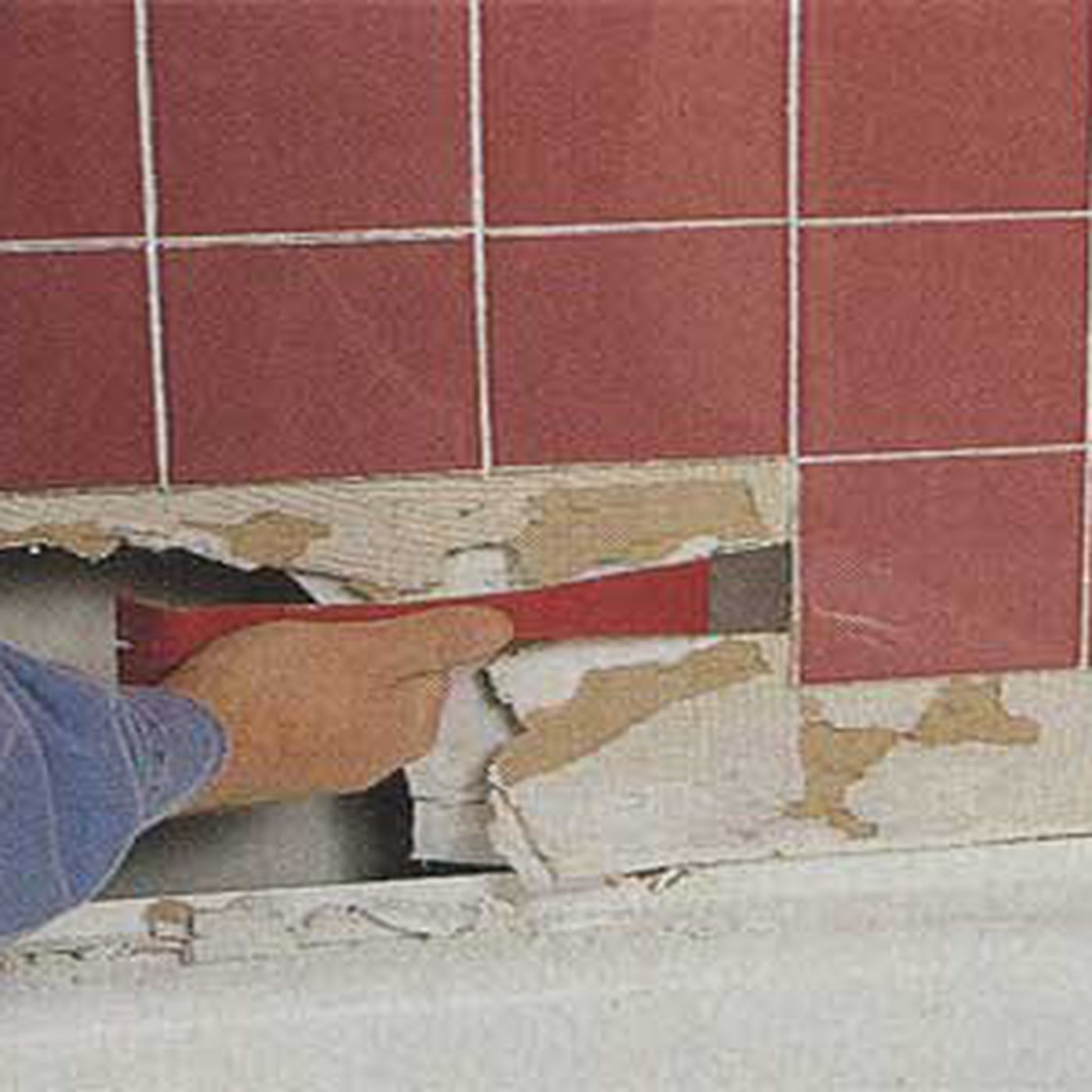 Mỹ: Dỡ tường toilet nhà thờ, choáng với thứ từ bên trong xổ ra - 1