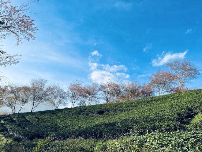 Đừng bỏ lỡ điểm check in 'cực phẩm' ở Sa Pa - 3