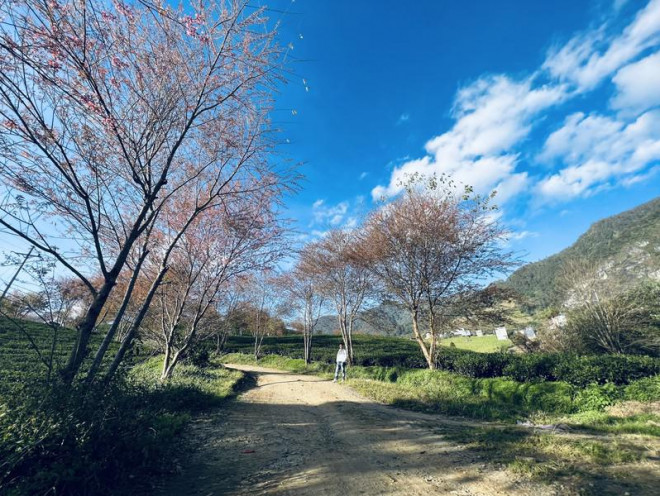 Đừng bỏ lỡ điểm check in 'cực phẩm' ở Sa Pa - 5