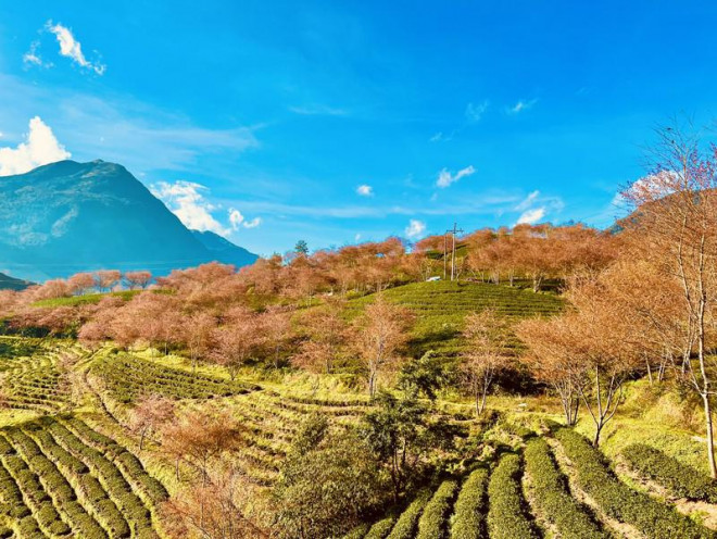 Đừng bỏ lỡ điểm check in 'cực phẩm' ở Sa Pa - 6