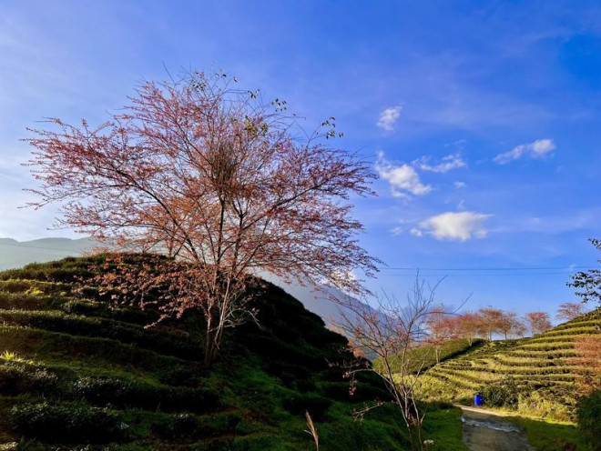 Đừng bỏ lỡ điểm check in 'cực phẩm' ở Sa Pa - 8