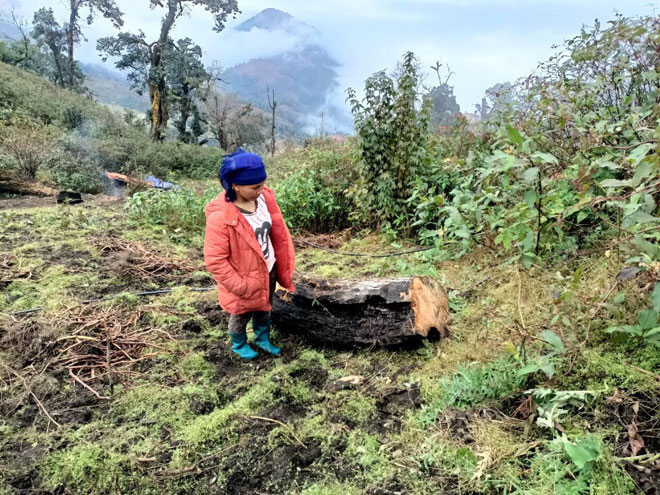 Tin tức 24h qua: Một đồ đệ của "Tịnh thất Bồng Lai" đòi bồi thường 3 tỉ đồng vì lý do gây sốc - 2