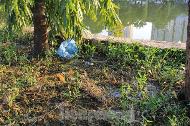 Công viên 'trăm tỷ' ở Hà Nội mới đưa vào sử dụng đã xuống cấp - 12