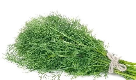 3 loại “rau” được coi là &#34;thuốc kháng sinh tự nhiên&#34; giúp bảo vệ cơ thể - 1