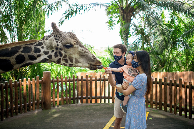 Loạt khoảnh khắc đốn tim của con trai MC Hoàng Oanh khi đi sở thú tại Singapore - 2