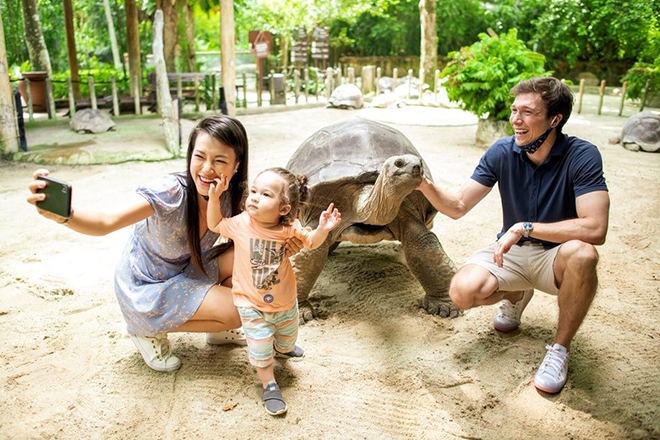 Loạt khoảnh khắc đốn tim của con trai MC Hoàng Oanh khi đi sở thú tại Singapore - 3