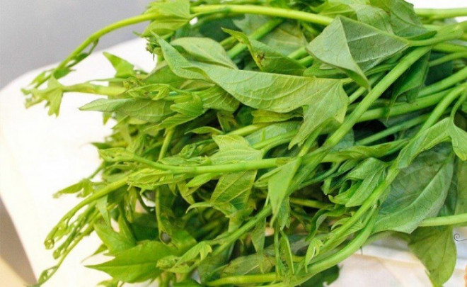 Thứ rau được coi là “rau trường thọ”, giúp thải độc, ở Việt Nam có đầy - 1