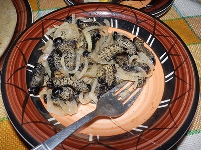 Các thực khách có thể ăn sâu mopane đã phơi khô hoặc chiên giòn như món ăn vặt hoặc có thể nhúng vào nước sốt hay thêm vào món cháo ngô, hoặc chiên với cà chua, tỏi, lạc, ớt, hành tây... 
