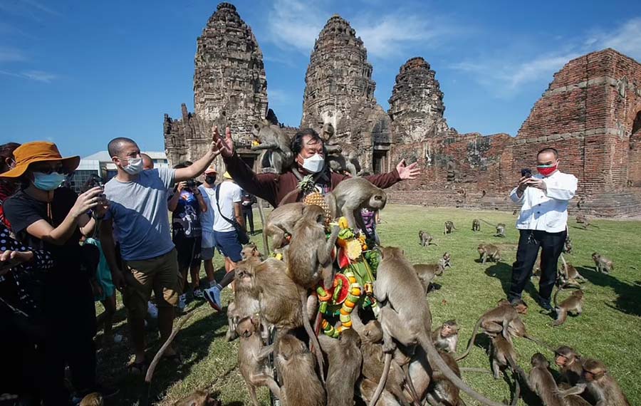 1000 con khỉ đói làm náo loạn lễ hội mới nhất ở Thái Lan, cảnh tượng ai cũng sốc - 1