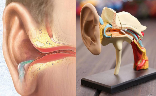 6 mẹo giảm ù tai khi đi máy bay để chuyến hành trình thoải mái hơn - 1