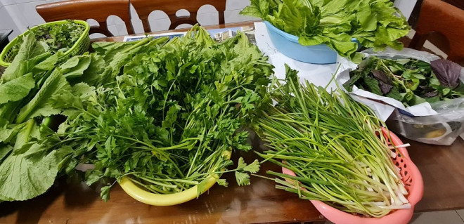 Cách giữ chất dinh dưỡng trong trái cây và rau xanh - 1