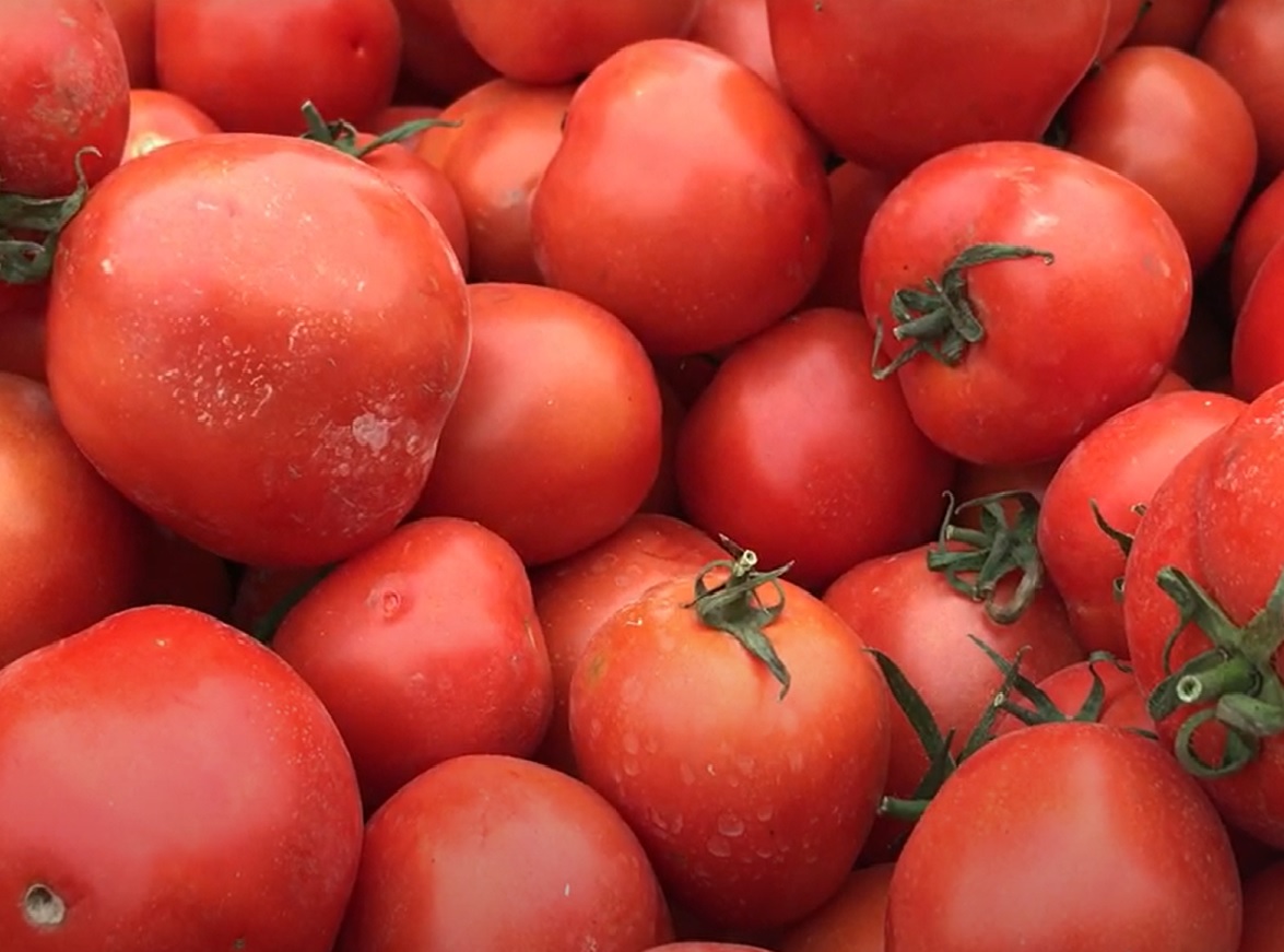 Cà chua tăng giá chóng mặt, lên đến 60.000 đồng/kg mà không có để mua - 1