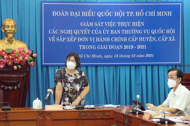 Đề nghị có Luật đô thị đặc biệt cho TP.HCM - 2