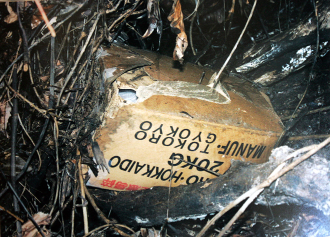 Bé gái 8 tuổi chết lõa thể trong thùng carton: Nghi phạm không ngờ - 1