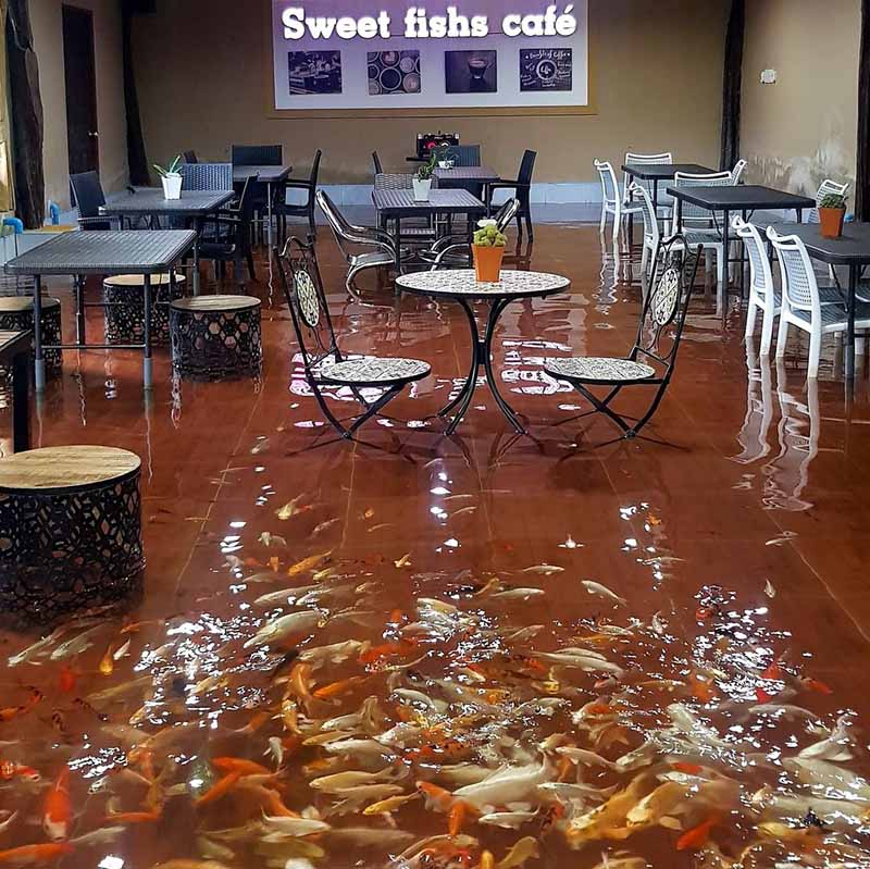 Quán cà phê này có gì đặc biệt khiến cộng đồng quốc tế hết lời khen ngợi? - 5