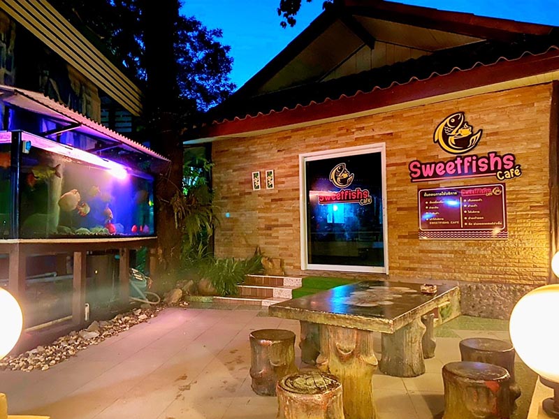 Quán cà phê này có gì đặc biệt khiến cộng đồng quốc tế hết lời khen ngợi? - 6