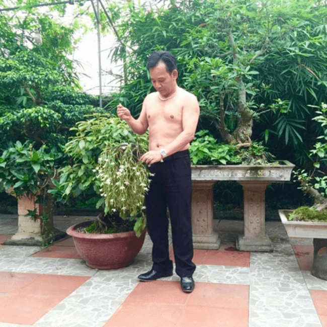 Ngôi nhà vườn rộng 1000m2 ở ngoại thành thuộc Đồng Trúc, Thạch Thất, Hà Nội. Quang Tèo cho biết những loại cây trong ngôi nhà này không phải quý hiếm gì, nhưng là công sức anh sưu tầm được từ những lần đi diễn nên anh rất trân trọng chúng.
